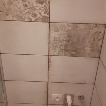 Rekonstrukce koupelny Pardubice, Palackého 6